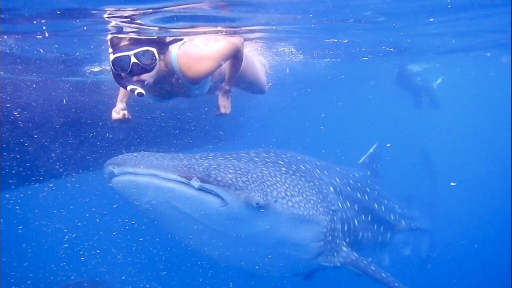 Respecting the Ocean: Tips for Eco-Friendly Snorkeling