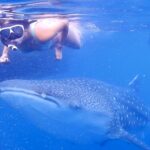 Respecting the Ocean: Tips for Eco-Friendly Snorkeling